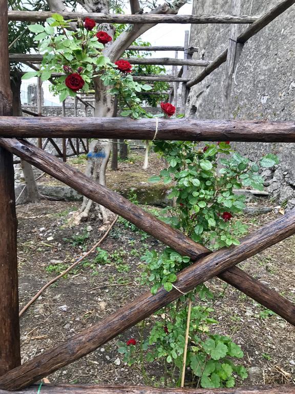 Le Due Porte Maiori Dış mekan fotoğraf