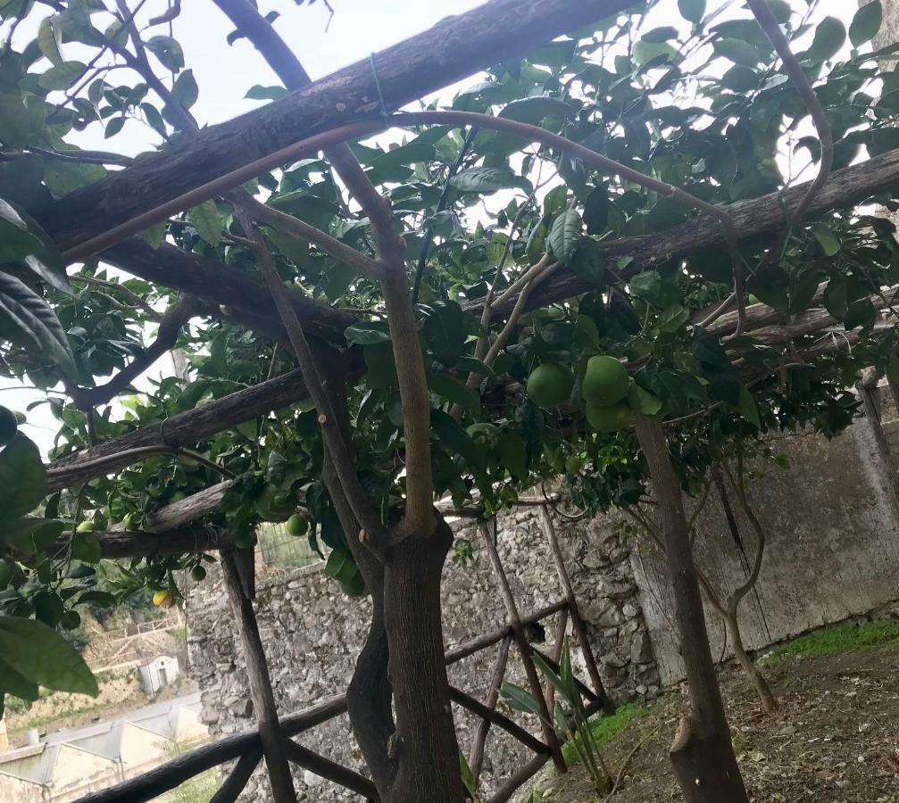 Le Due Porte Maiori Dış mekan fotoğraf