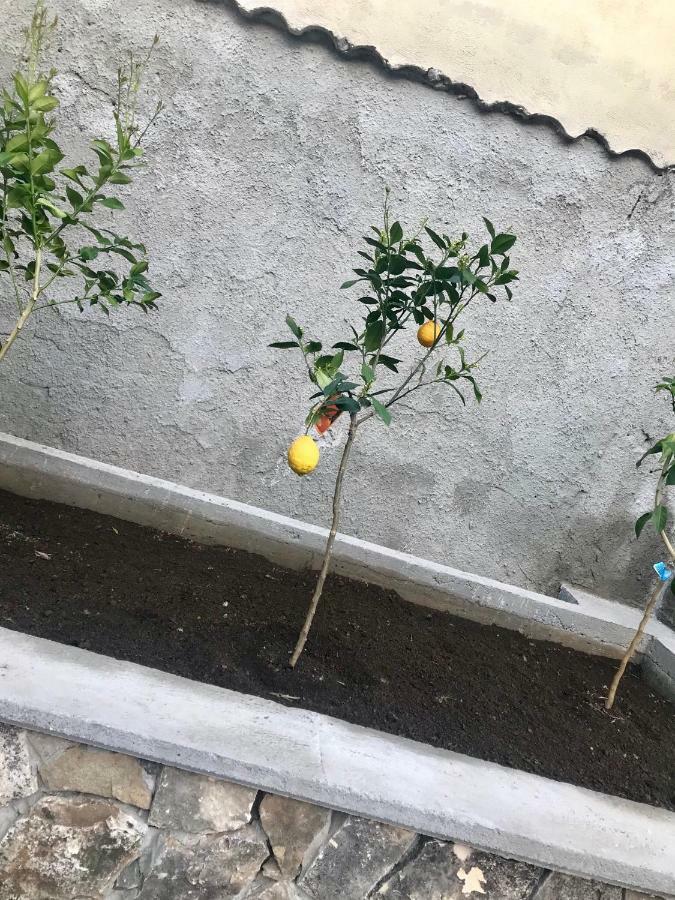 Le Due Porte Maiori Dış mekan fotoğraf
